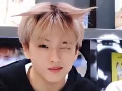 햄찌성도 늑대성도 저예요 누나