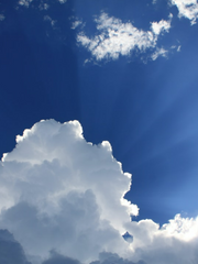 나하님은 그렇게 살아!