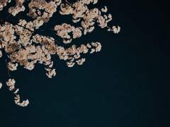 내 사랑에 내가 취했소*