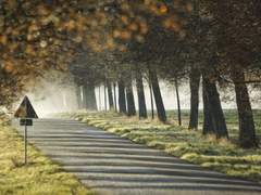 나를 위해, 너를 위해.