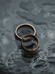 [창작] 양들의 꿈