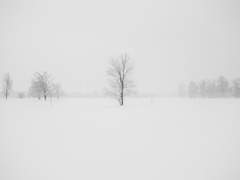 [고죠후시] 대설 18.