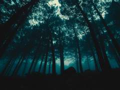 005. 뢰벤스펠트 산