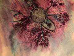 붉고 나약한 달은 부서졌다