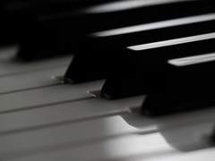 가짜 피아노piano en skaï