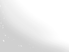 변하지 않을 길