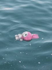 [원피스] 어느 한 빙의자의 표류 일지