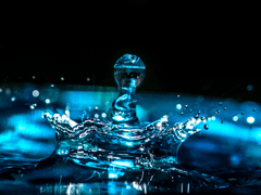 하지만, 웨이브...