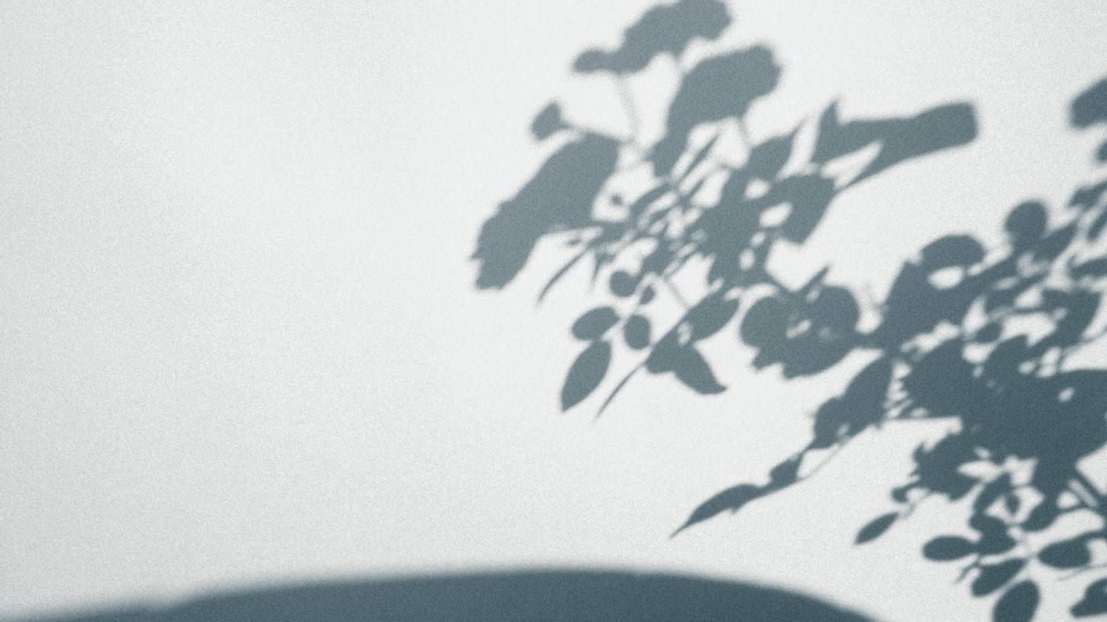 테스타와 재회하는 배우 류건우 (통합본): 오늘 낮밤