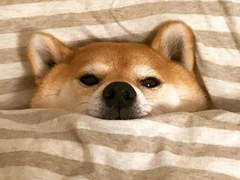 드림 일짱 이여주 모먼트 EP.4