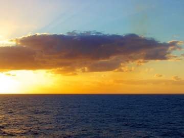 죽은 존재들이 눈물을 흘려보내는 방법