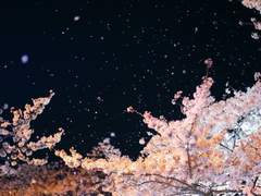 당신과 맞이하는 따듯한 봄