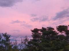 영화로이에 대하여