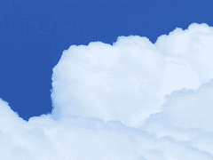 이상한 나라의 여름날