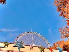 Hey stupid, I love you