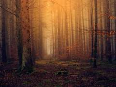 백망되/ 초망의 제물 02