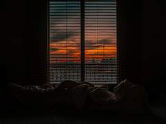 [조각]그들만의 사정2