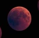 사랑하는 종말을 위하여