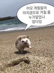 엉망진창 인생 일기
