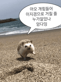 Series 엉망진창 인생 일기