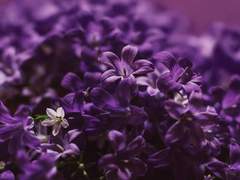 내게 가장 아름다운 그대에게