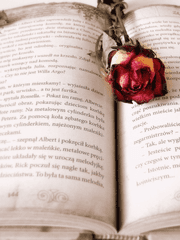 파란의 존재증명