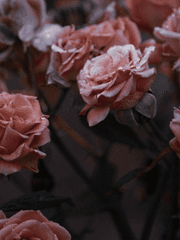 타입별 샘플 목록