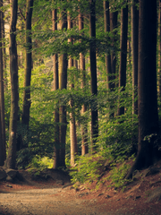 이야기의 연결과 만남