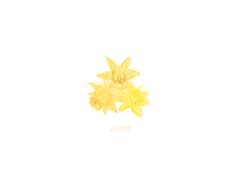 잘 지내기야, 내 사람들.