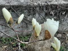 사랑하는 모든 분들에게 이 음악을...