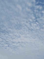 언니가 사라졌다.