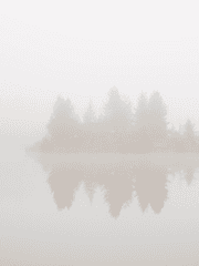 디스토피아의 마녀