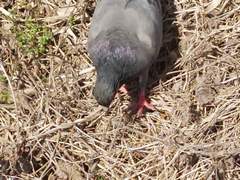 이제 일어나기 힘든 걸..