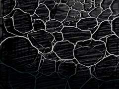 우울의 심상 (2) 무감각