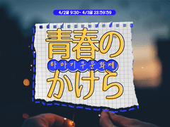 하마기쿠 문화제?