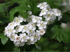 (닌자고)악당한테도 두번째 기회란게 있다면