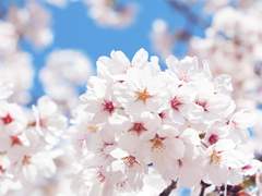 서랍장 안에 유서를 숨겨놓았다.