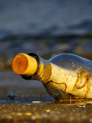 먼시네 자캐 설정모음