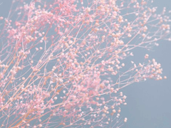 캠퍼스 커플 성사될 때마다 학점 흡수. 방법 노상관 (1)