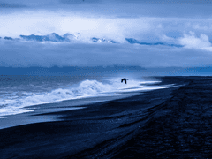 [코카] 대륙 너머의 바람