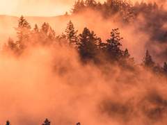 완벽한 거짓말은 완벽하기에 진실로 착각된다.