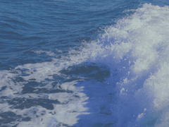 여름, 그 언저리.