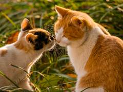 우리가 우리로 있지 못하더라도