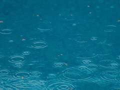 나는 이제 겨울이 싫어