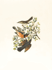 일상 일기(2022.3.31~)