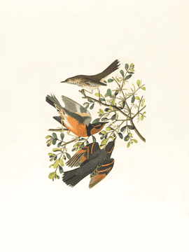 일상 일기(2022.3.31~)