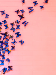 쓰여진 책은 백지였다