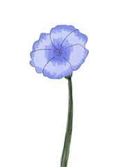 [헌헌x키르곤] French marigold 