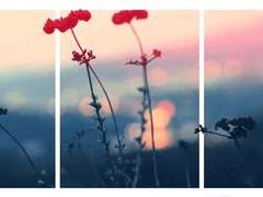 아발론력 XXXX, 0331. 기록 일지.