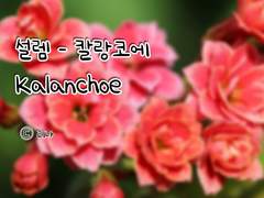 [Ch.01] 의심도 씨앗이 있어야 시작된다